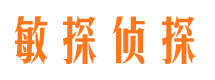 高唐侦探公司